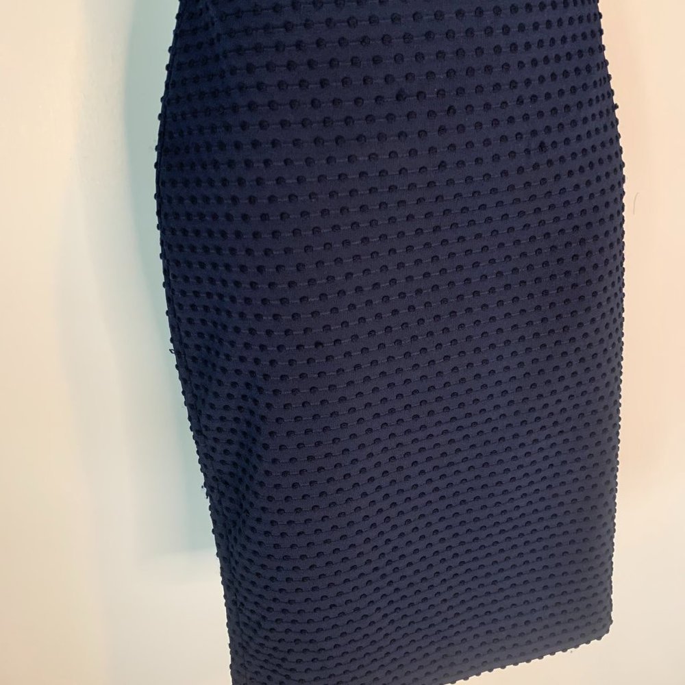 Banana Republic Pencil Skirt with Raised Dots Navy Size 2